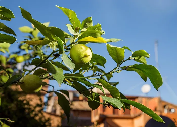 Trastevere *